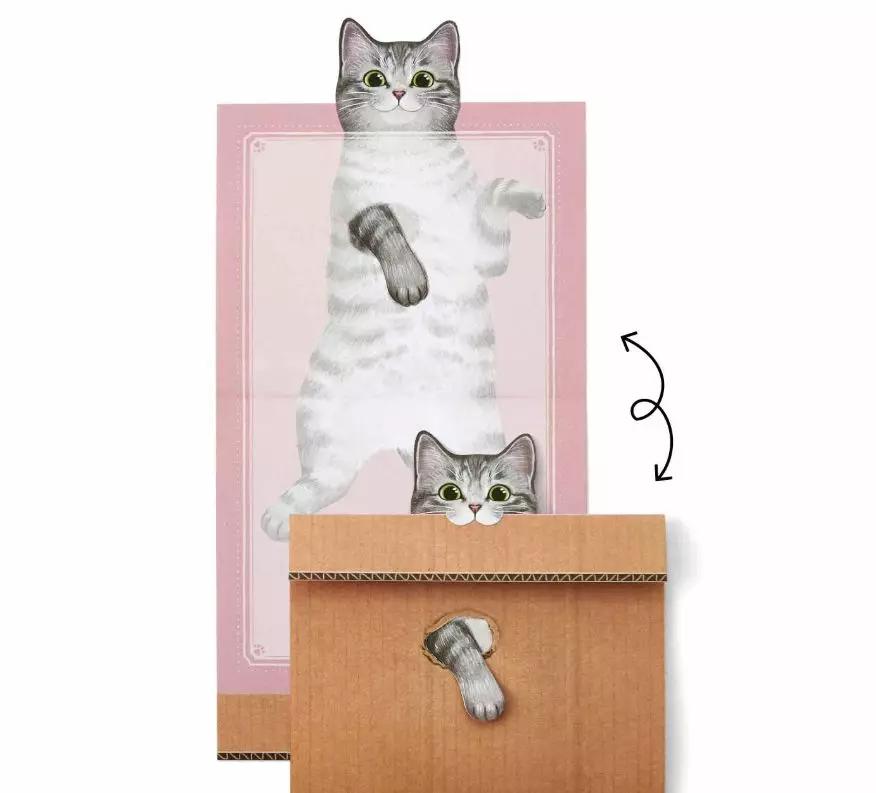 吸一口就爽到!让900万猫奴直呼过瘾的文创店,我真的服了