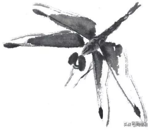 莲花和蜻蜓国画画法,飞行蜻蜓国画图片