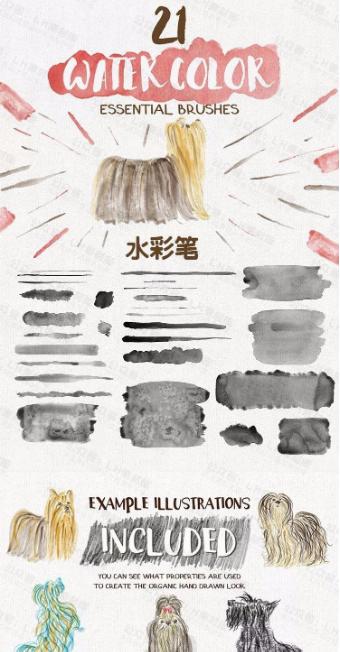 毛笔水彩画笔,ai笔刷画矢量插画