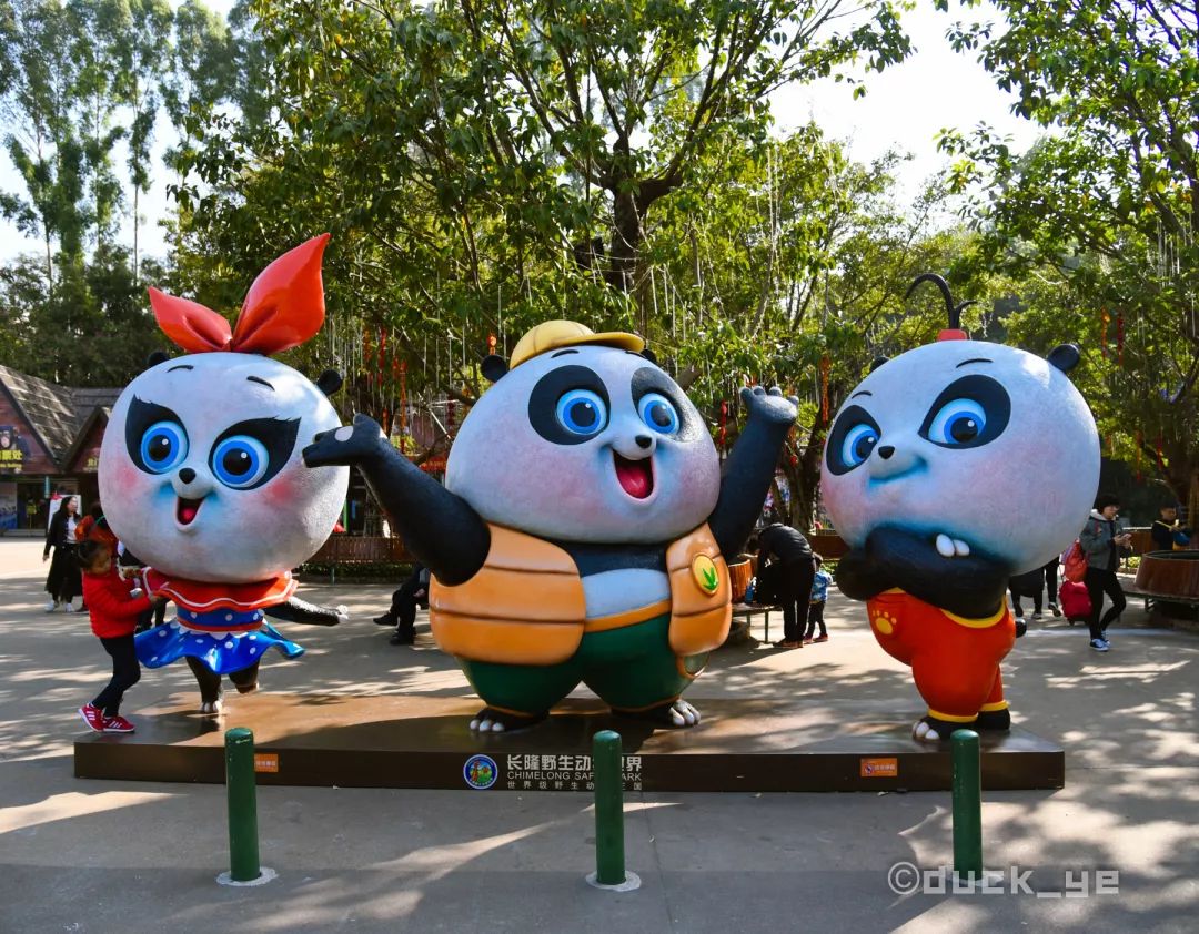 自驾长隆野生动物世界攻略,广州长隆野生动物世界旅游攻略