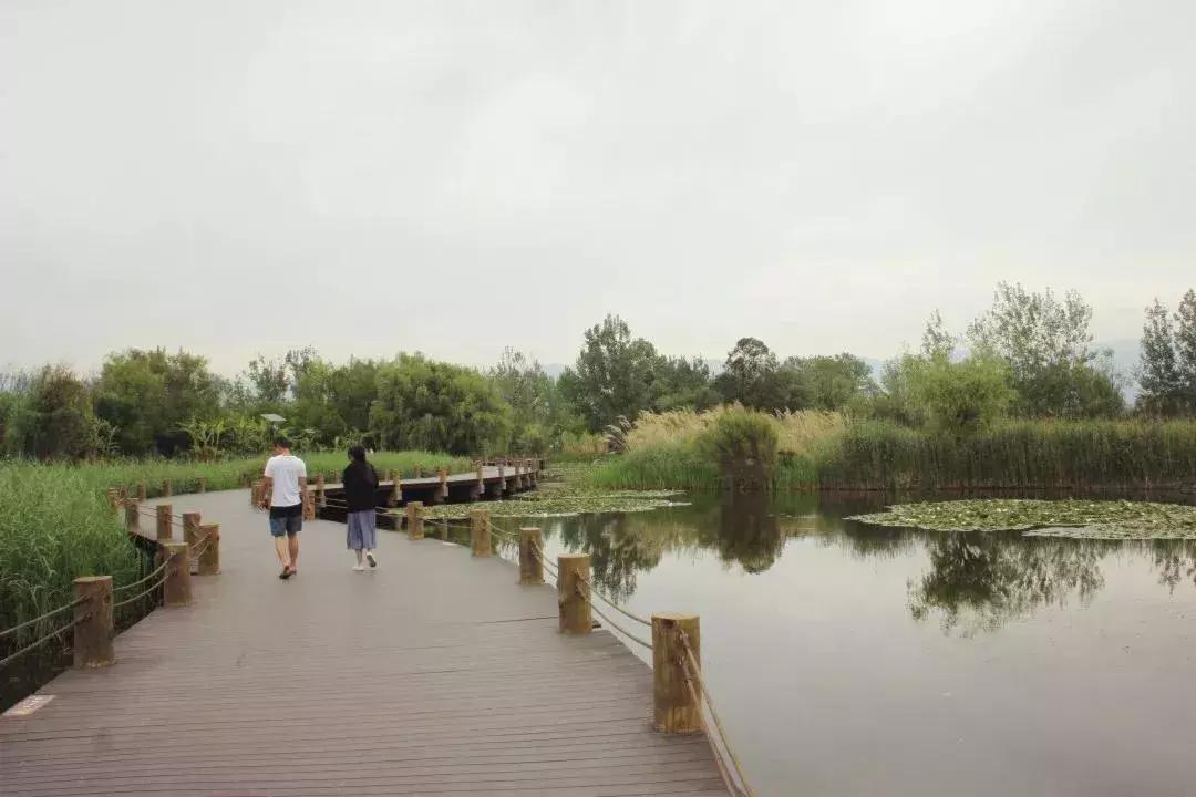 凉山州西昌市邛海湿地公园之旅,西昌邛海阳光康养基地视频