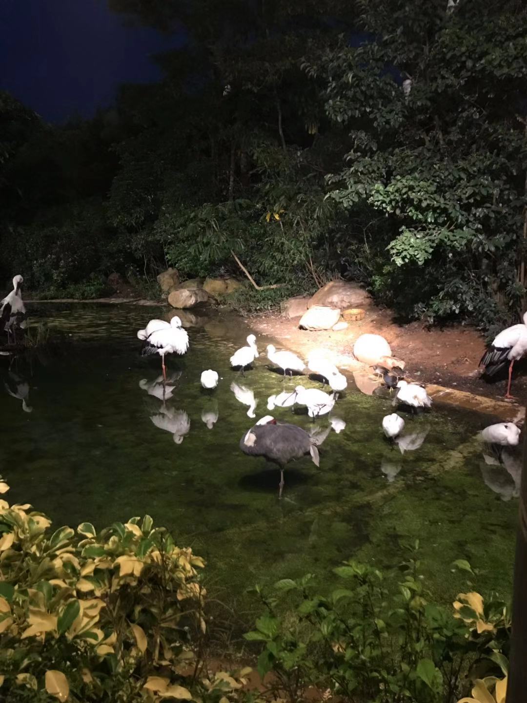 珠海长隆海洋王国亲子攻略2岁,亲子珠海长隆海洋王国一日游攻略