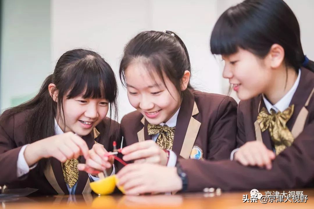 武清私立高中招生计划,武清小升初学校