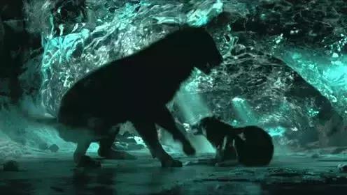 阿尔法｜如果文明是卑躬屈膝，我会让你看到野蛮的骄傲