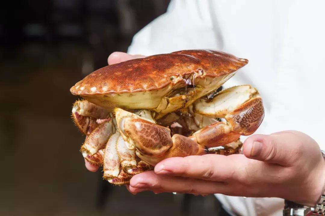 天津蒸汽海鲜,蒸汽海鲜吃到爽