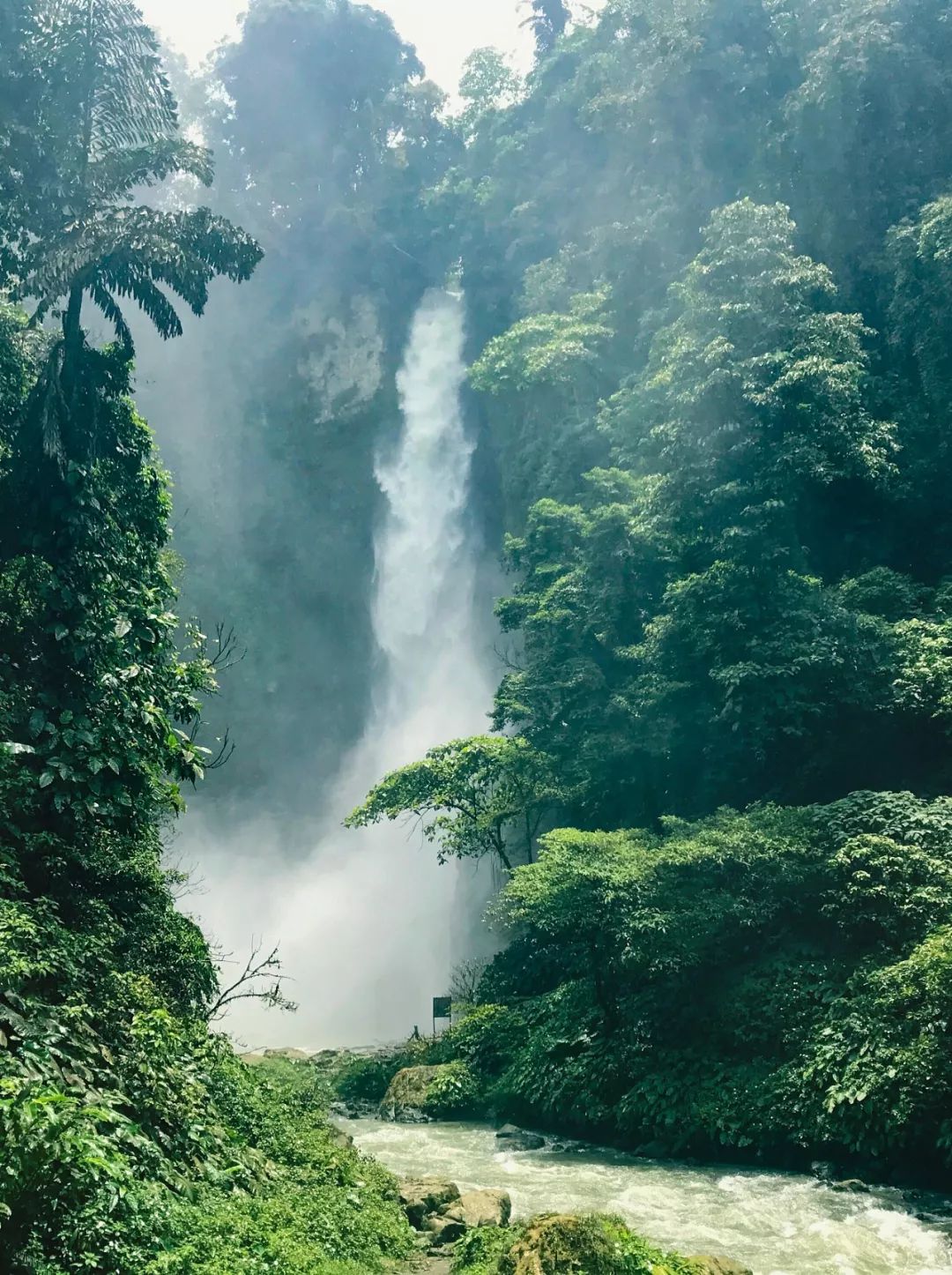 菲律宾碎玻璃,菲律宾塑料破碎