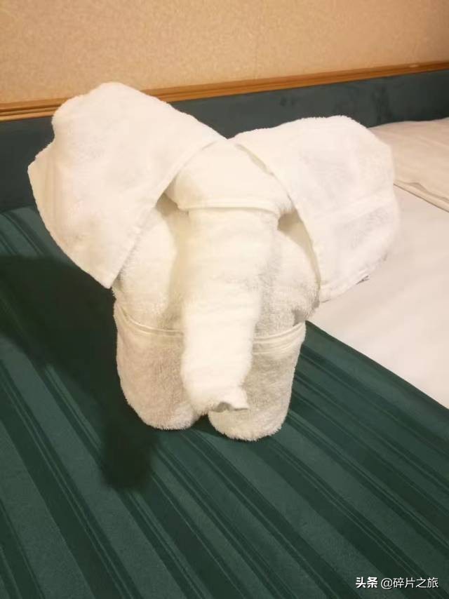 上海游轮去日本攻略,上海去日本的邮轮旅游攻略