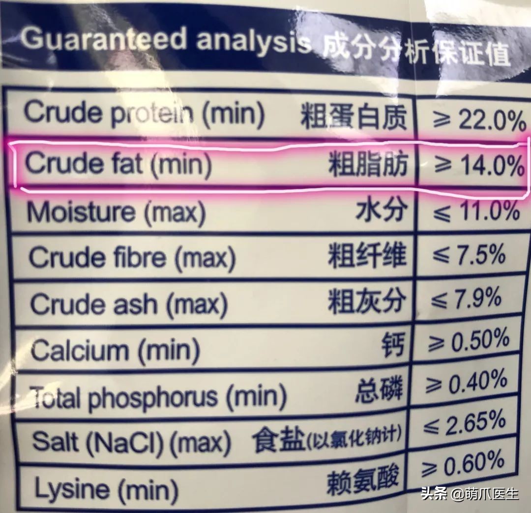 猫咪突然间长了很多黑头,猫咪长黑头是怎么回事