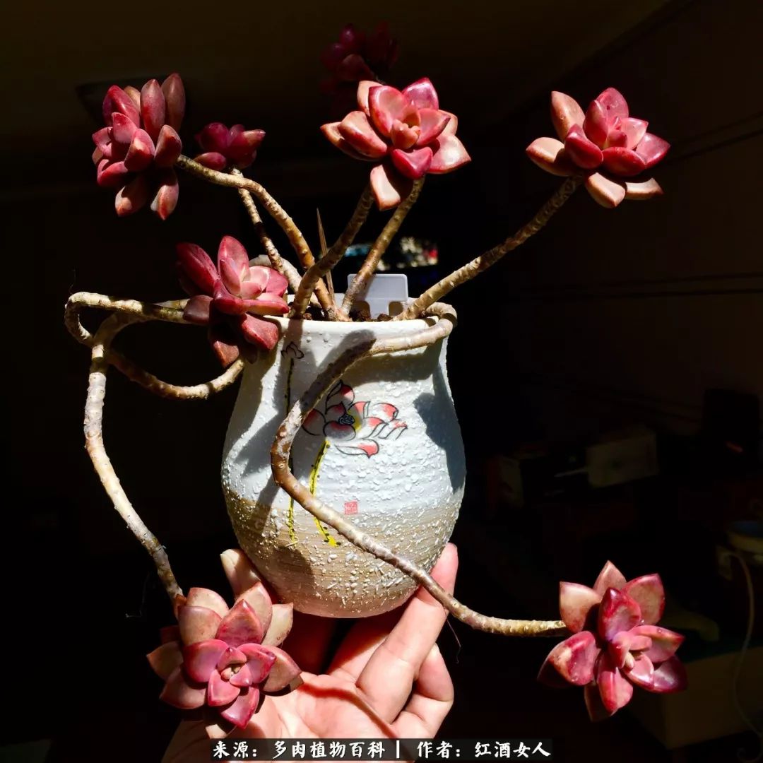 记录走过的美景留下美好的回忆,记录走过的每一段美好时光