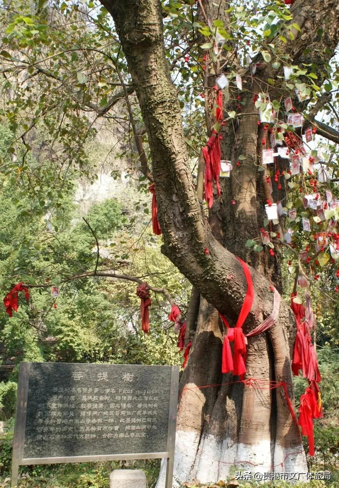 贵港爬山推荐景点,贵港爬山推荐景点有哪些