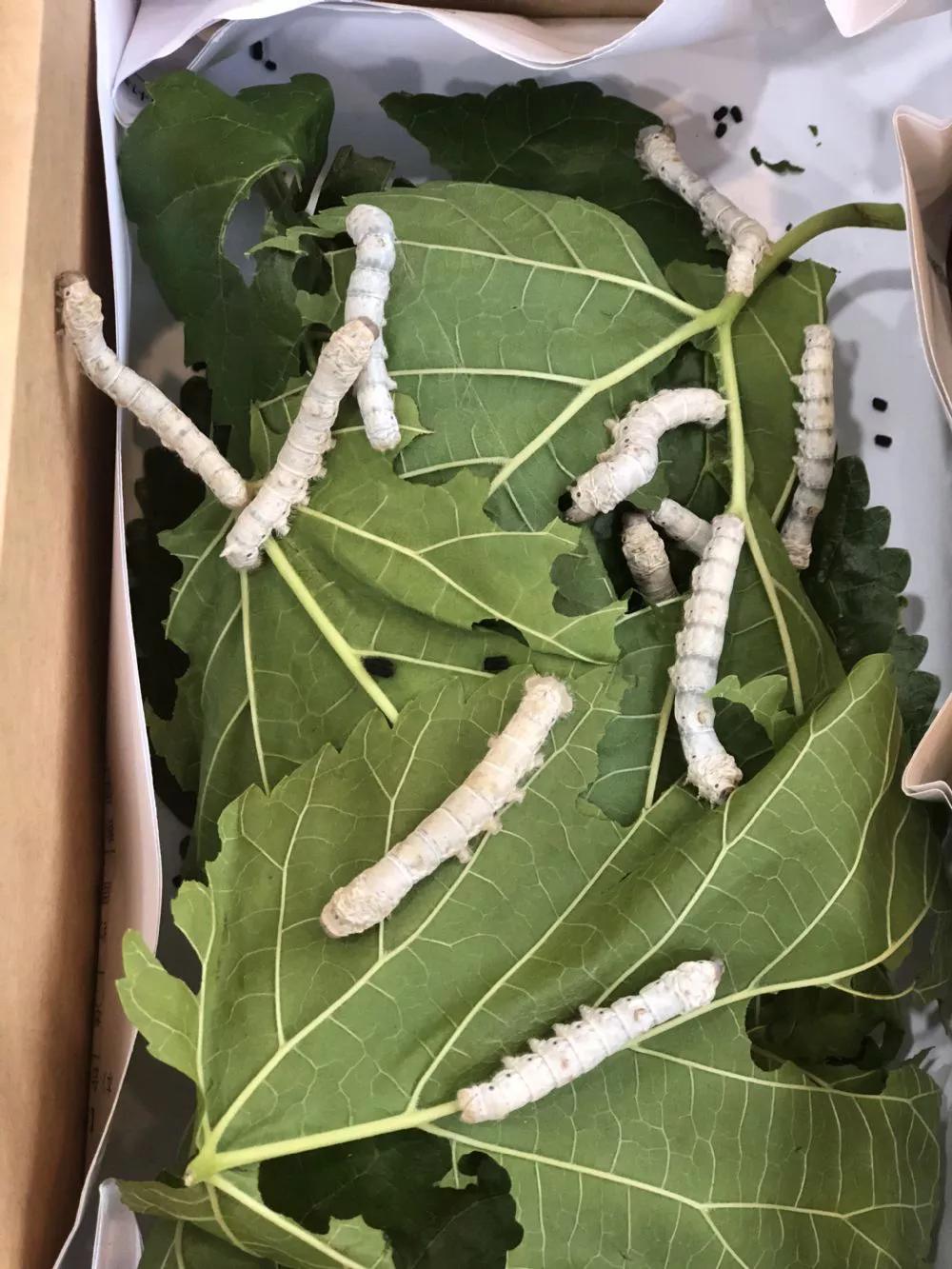 回忆童年那些美好时光,回忆那些美好童年时光