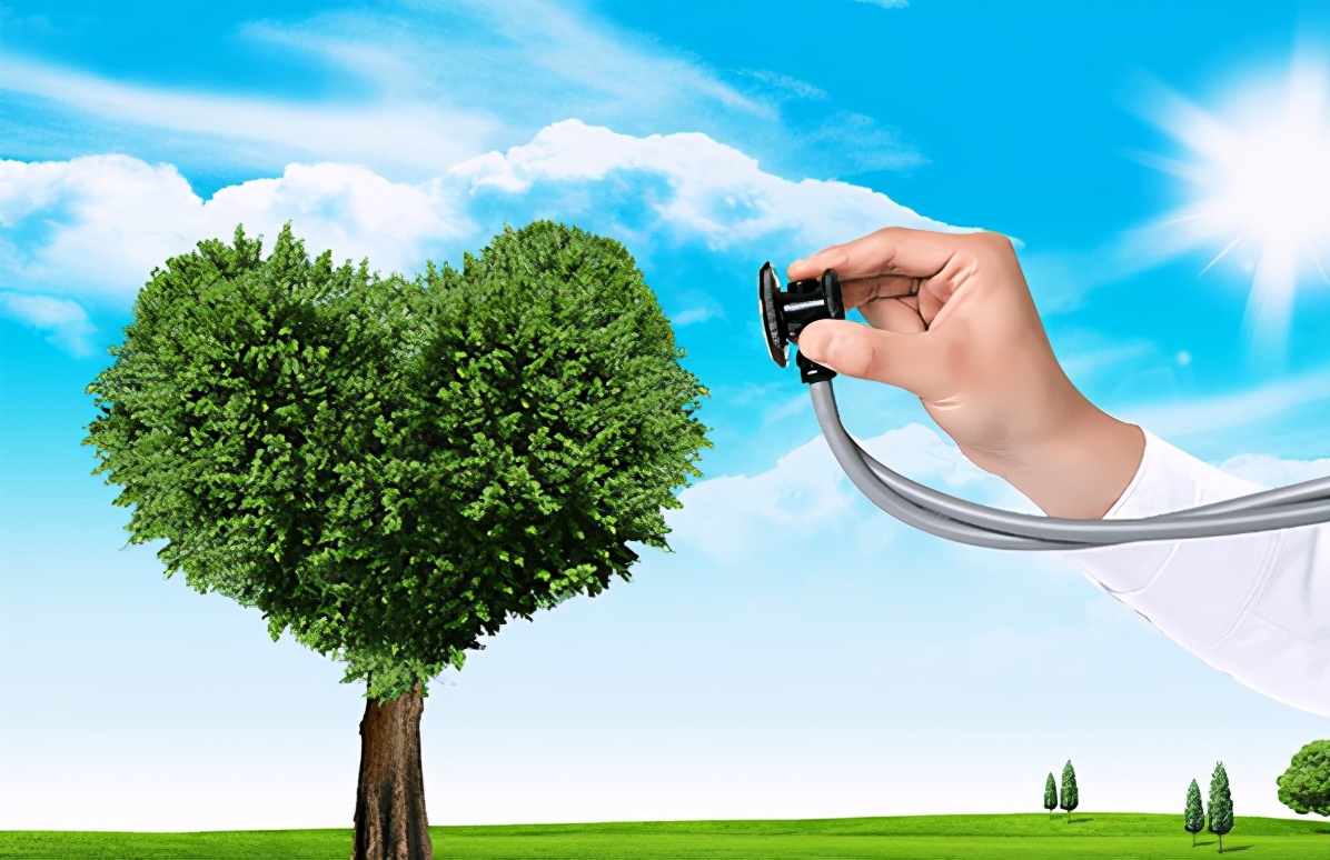 诊治精神分裂症,精神分裂症患者应该看的治疗视频