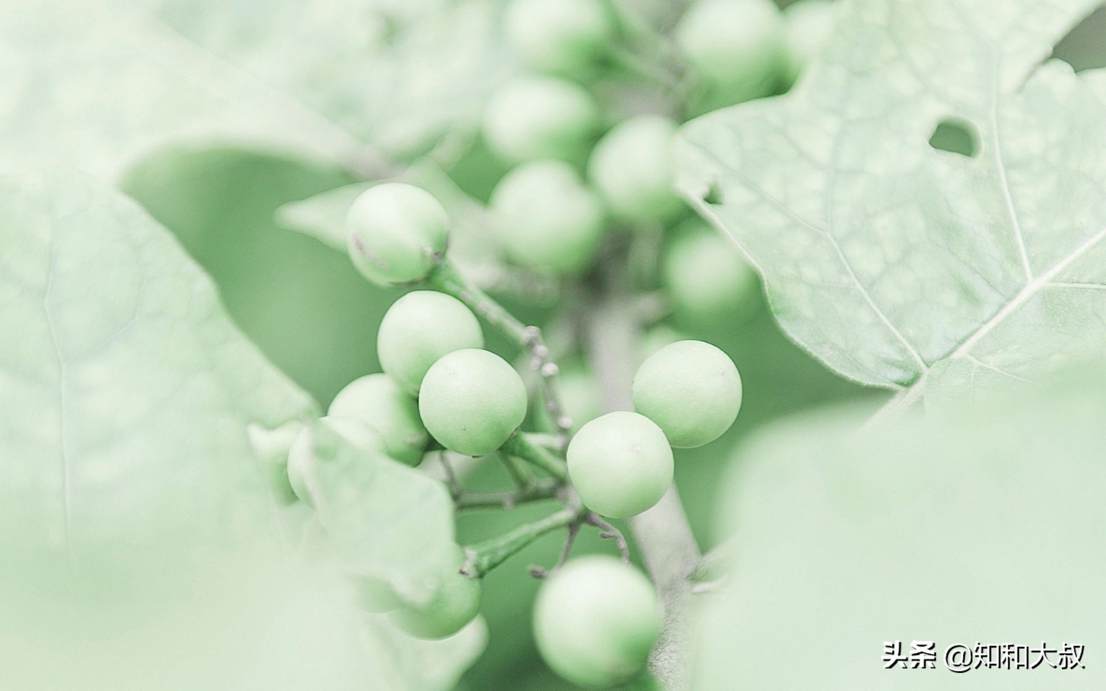 一个被别人瞧不起的人该怎么办,被人瞧不起时如何做好三件事