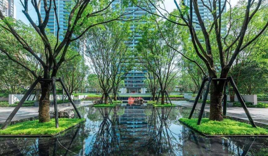 重庆租金回报率比较高的住宅,涉外租赁