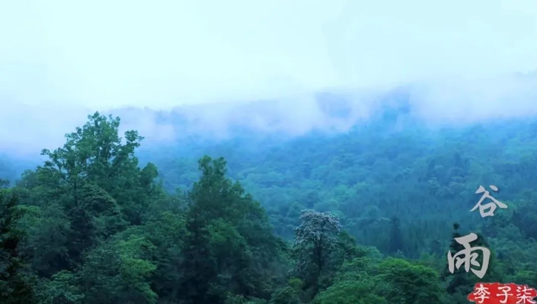 李子柒视频转场技巧,李子柒拍摄视频技巧