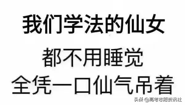 法学就业率低为什么还是热门专业,法学就业率为什么这么低