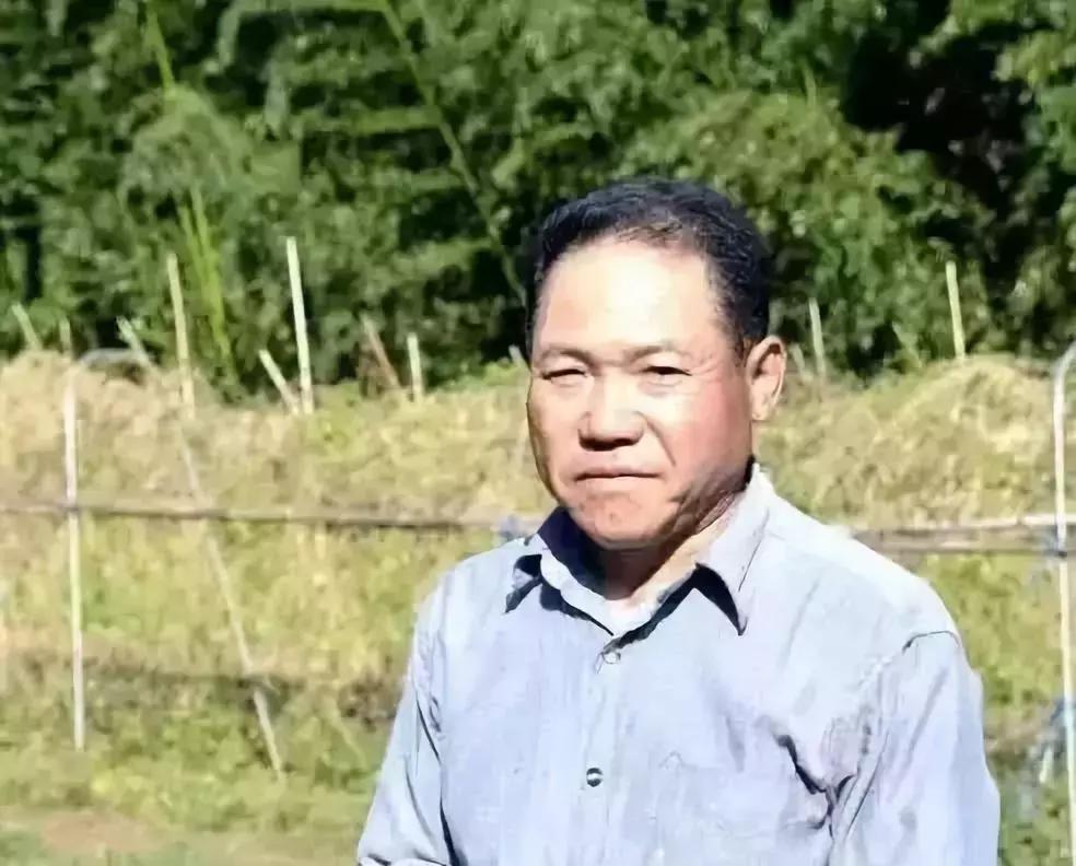 日本机场最牛钉子户,日本成田机场钉子户拆了吗