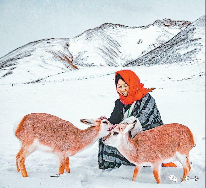 人民日报40年老照片全部,人民日报高质量短片