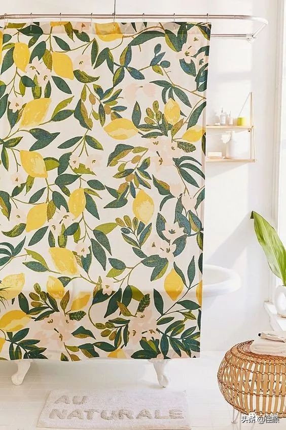柠檬树装饰材料,柠檬树家居用品