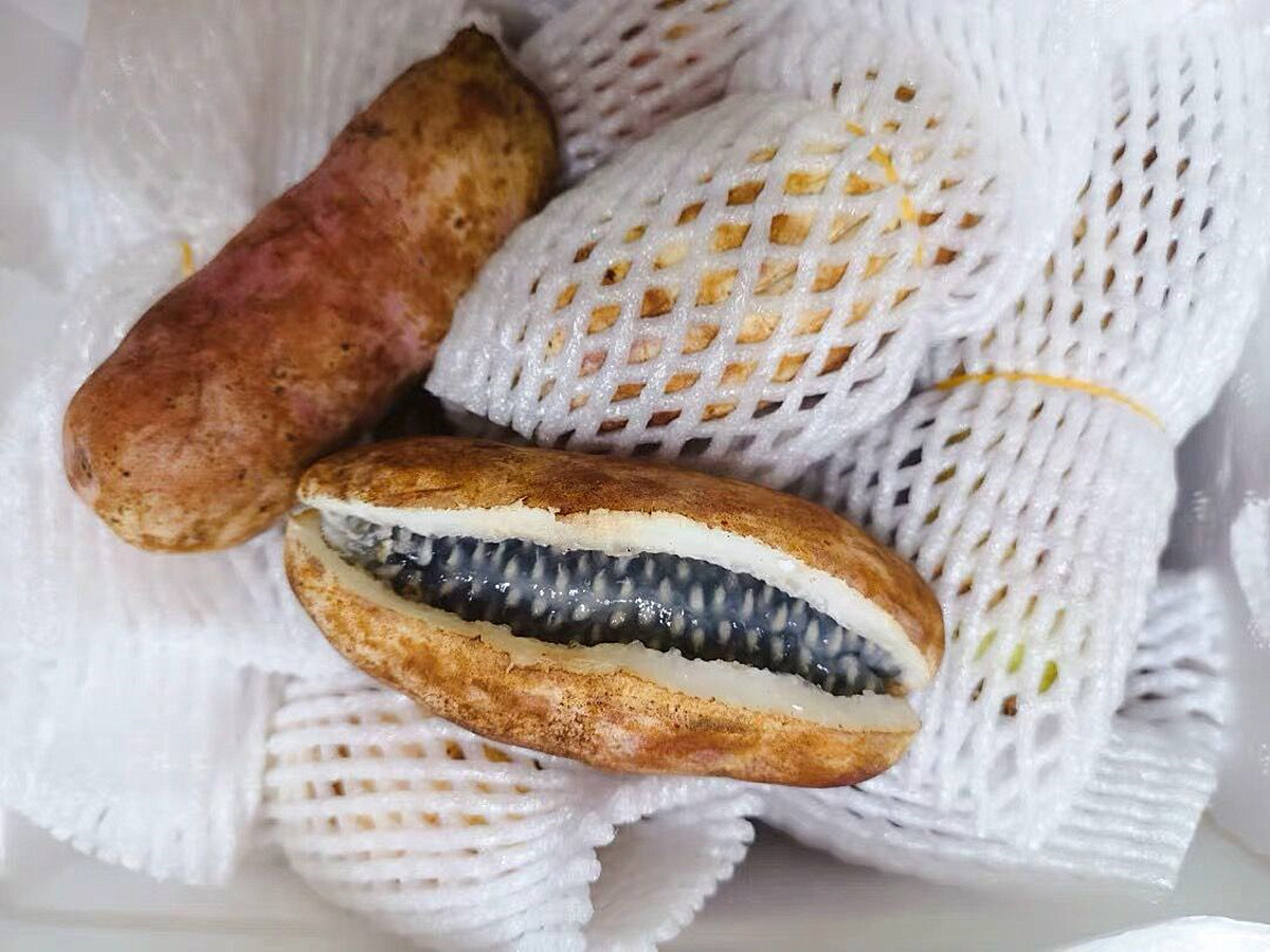 成熟之后会裂开的水果,果实成熟会爆开的水果