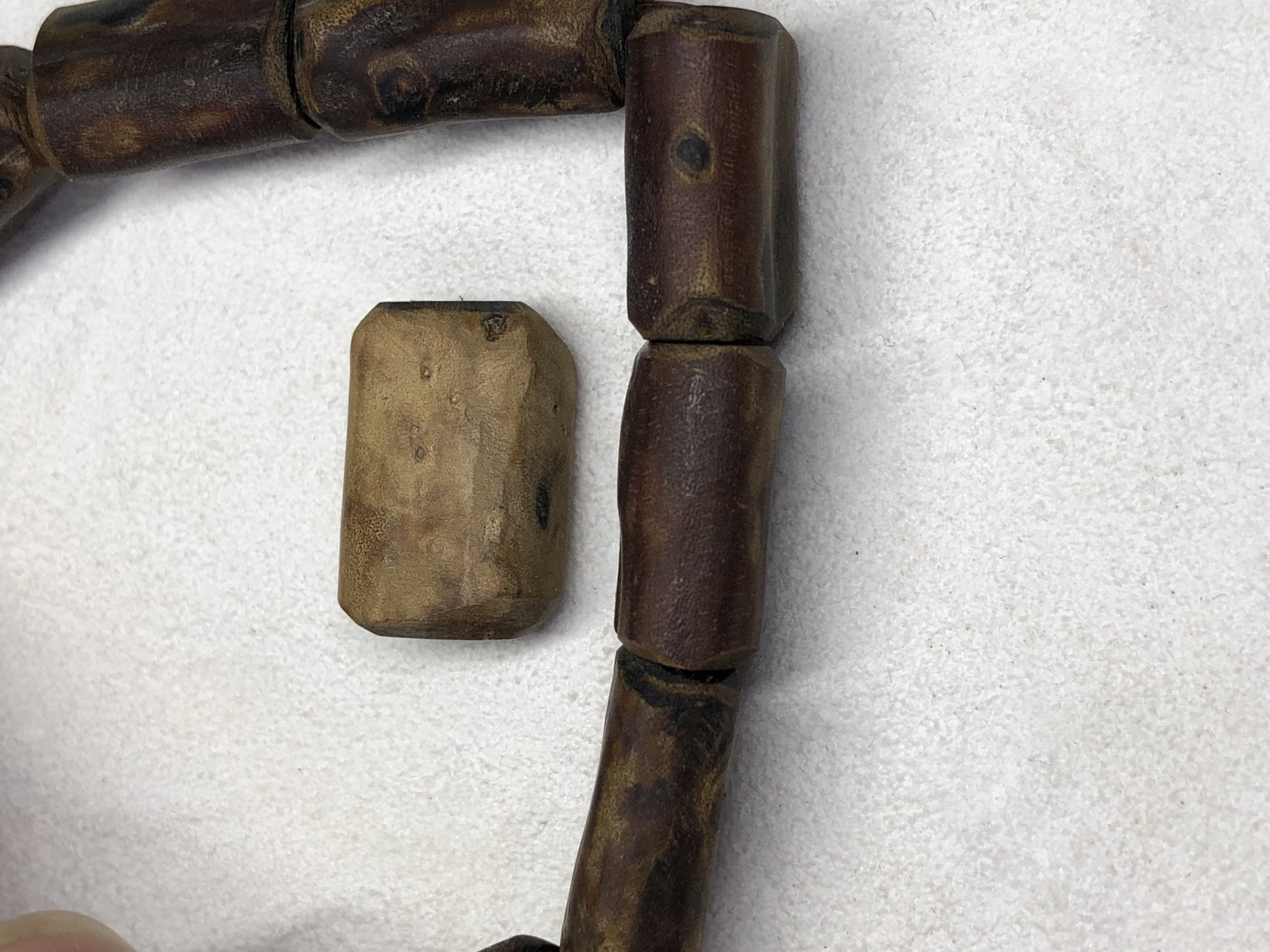 海柳木怎么鉴别,海金柳怎么辨别真假