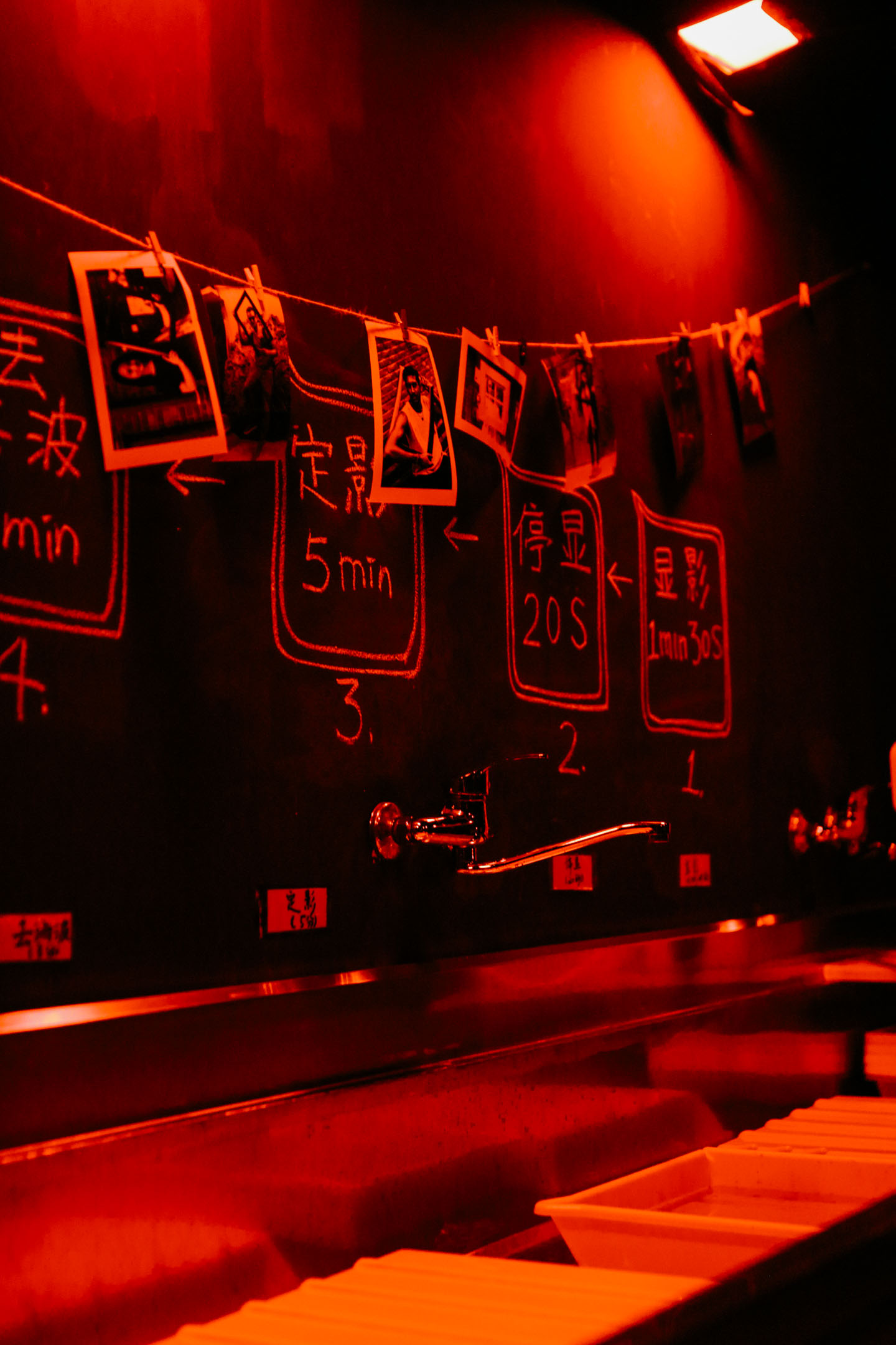 翼龙被拍到的真实视频,美国人抓了一只翼龙