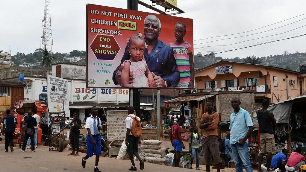 驻外两年，我在非洲买了块地，却不想再回去了