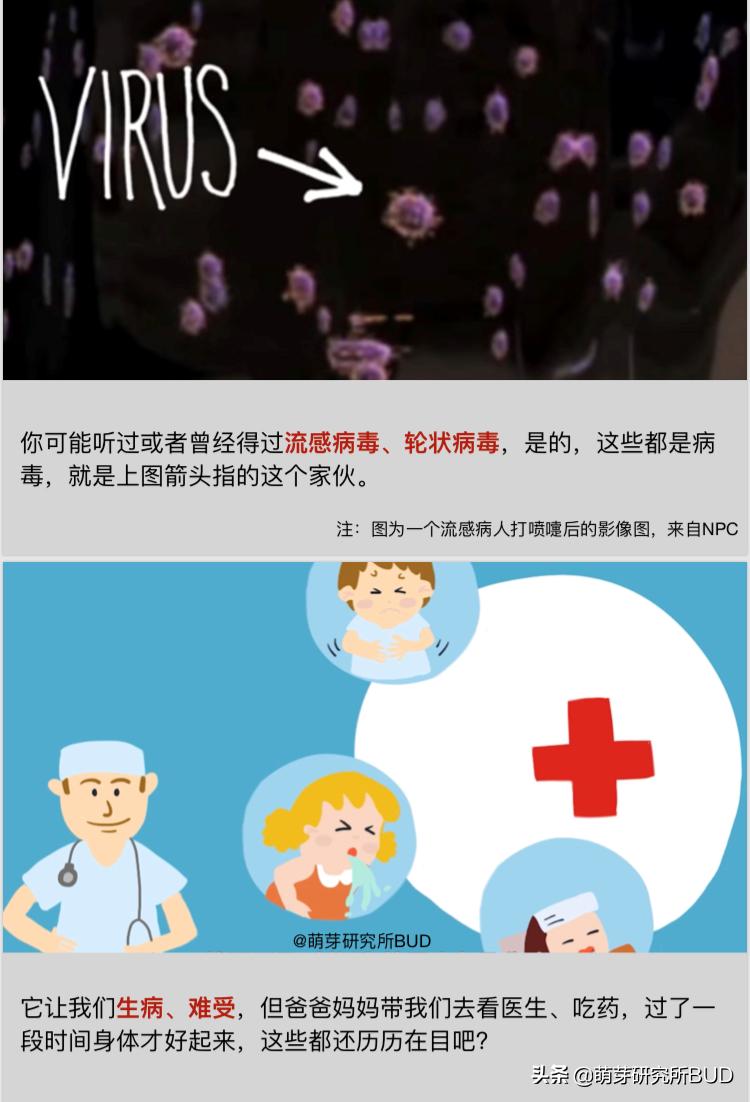 一本简明有趣的科普小书,儿童科普小说推荐