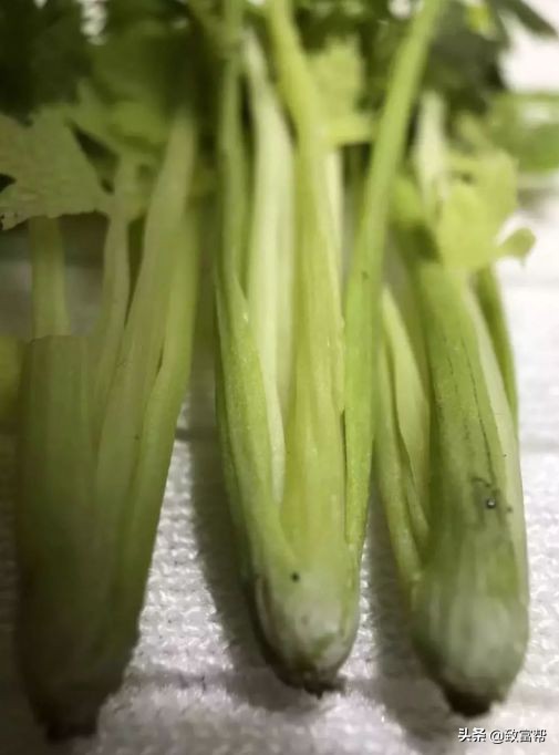 90后母亲被骗,90后妈妈因造假走红