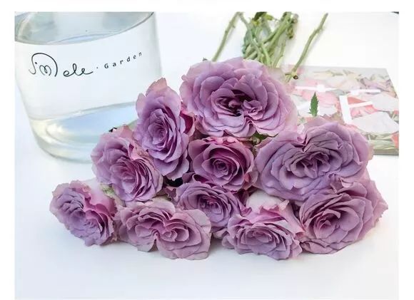 鲜花醒花前后怎么养好看,怎样醒花花期最长