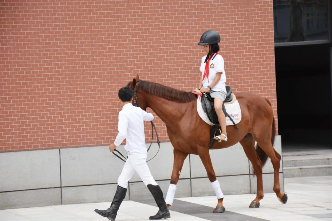 以体树人十大杰出校长,以体树人杰出校长颁奖典礼直播