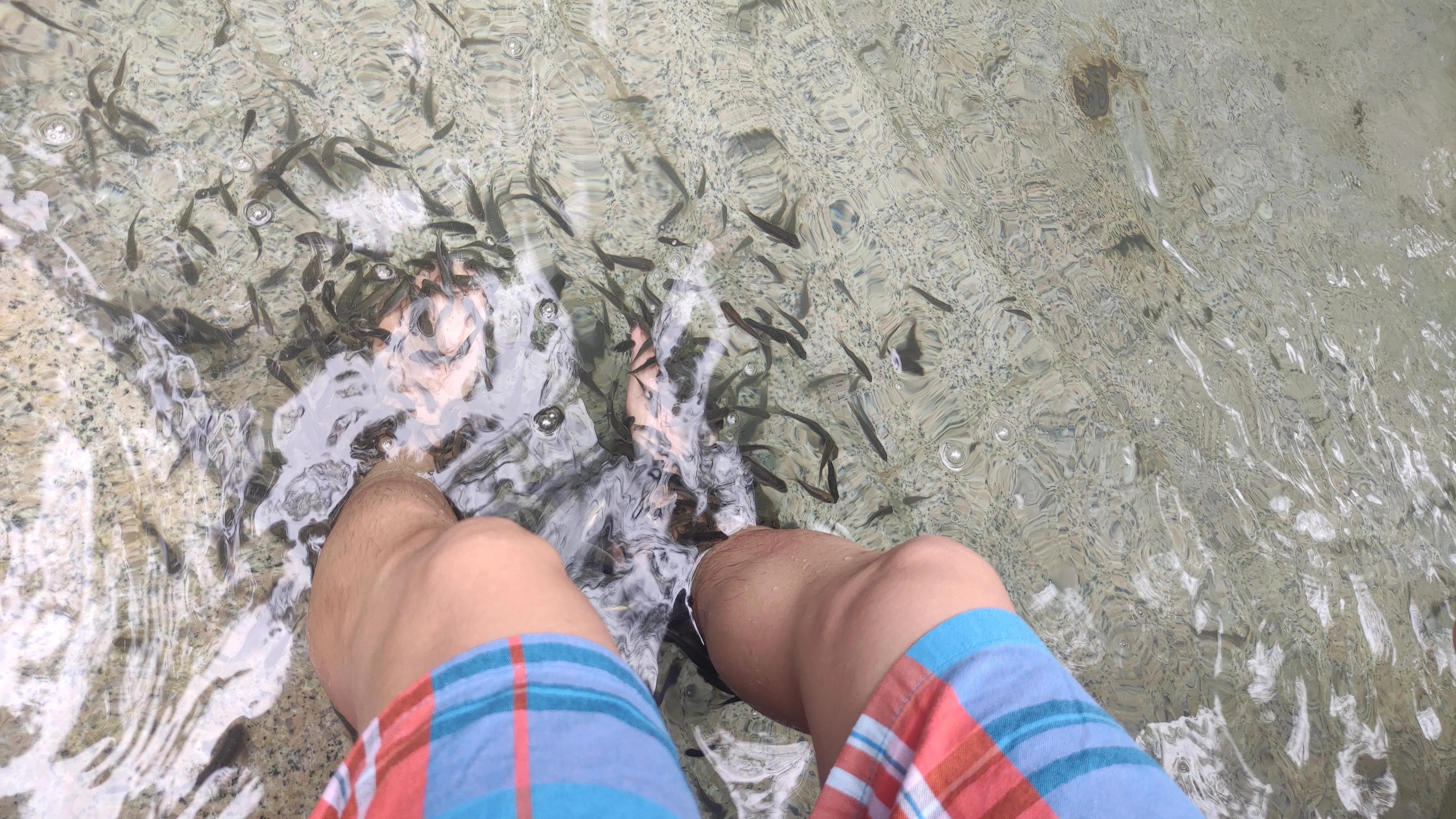 柳州凤凰河温泉旅游景区门票,柳州凤凰温泉度假山庄