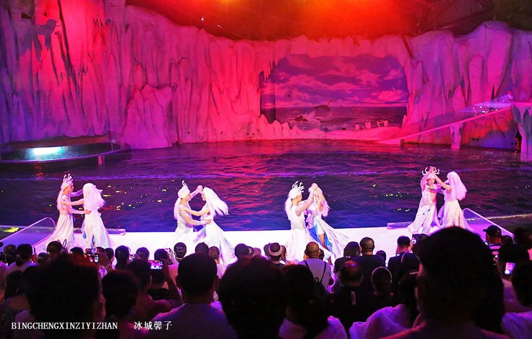 走进哈尔滨完整视频,走进哈尔滨海洋馆