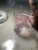 被星巴克“猫爪杯”收割智商税？这只猫能帮你提高智商，亲测有效