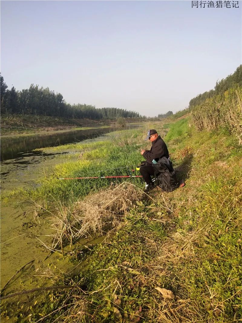 2019钓鲫鱼视频全集,钓鲫鱼的笔记