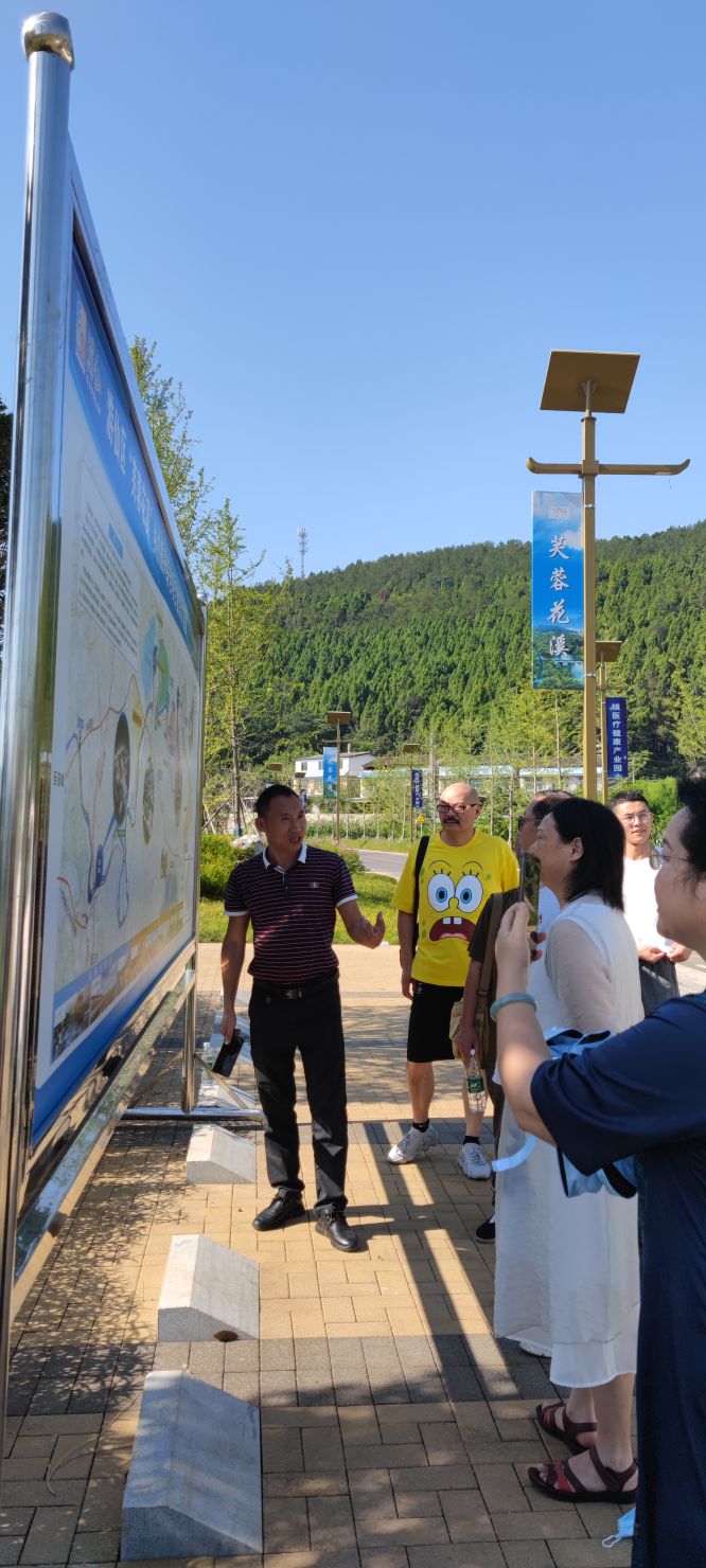 金山村芙蓉花溪,新桥芙蓉花溪