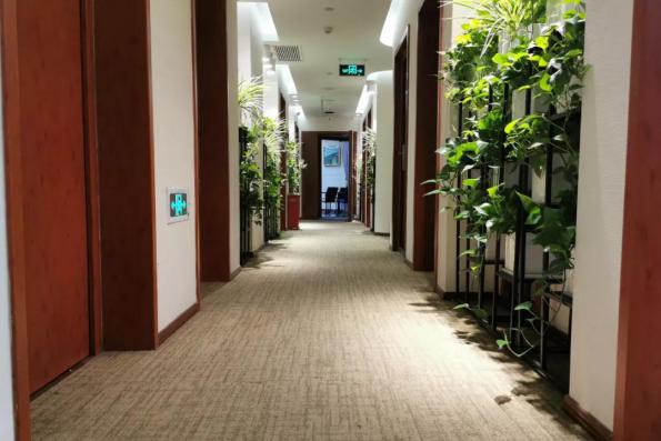 颜值超高，环境私密，北师大这个中心成立2年服务超20000小时，网友：贴心！