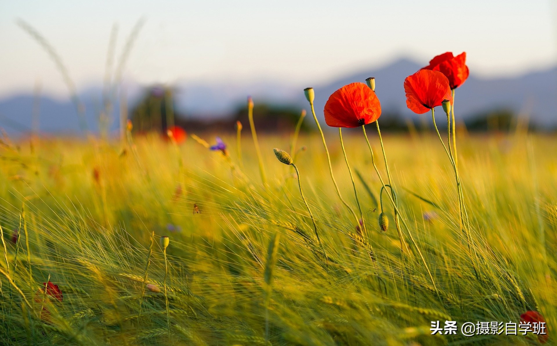 摄影小技巧风景照,风光摄影高原风景