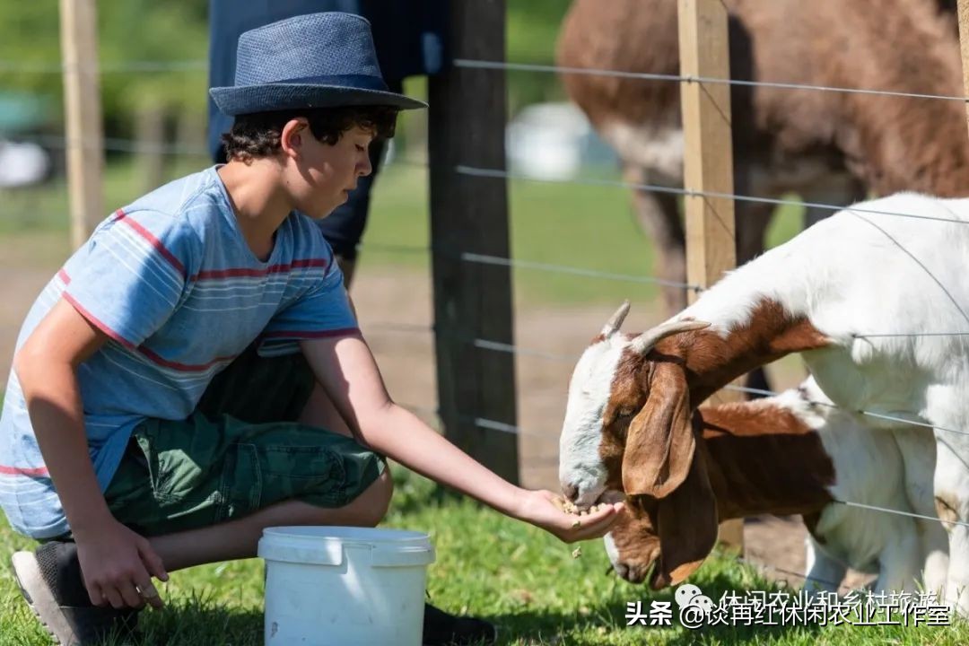 旅居新西兰,旅居新西兰有什么条件
