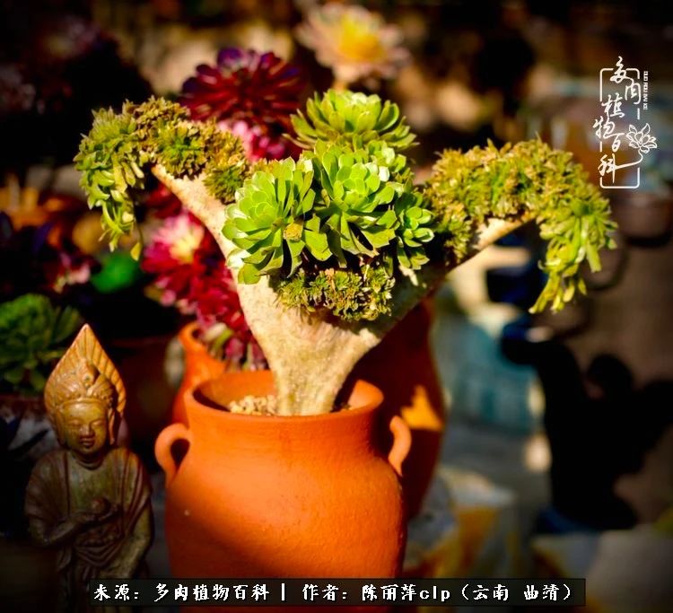 佛系看风景的地方,佛系风景空境视频