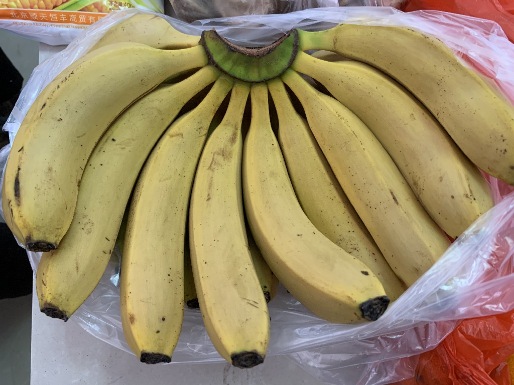 买香蕉买大的好还是小的好,买香蕉时挑直的还是弯的老果农