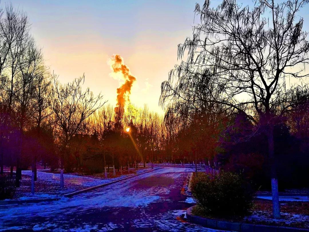 沈阳化工大学辽宁省排名,沈阳化工大学2020招生计划辽宁省