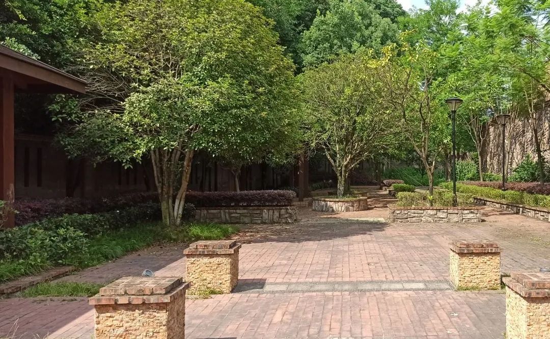 被56万压垮，重庆力帆帝国即将破产？昔日超级豪宅沦为鬼楼？