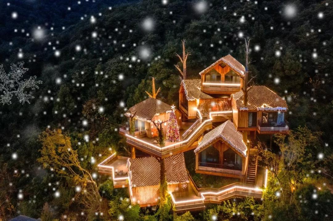 浪漫树屋、奇妙酒店、恒温水乐园...去江浙沪Top酒店跨个30℃的年