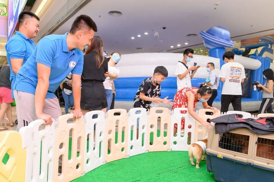 保利MALL 阿派领养日！有只萌宠在call你…