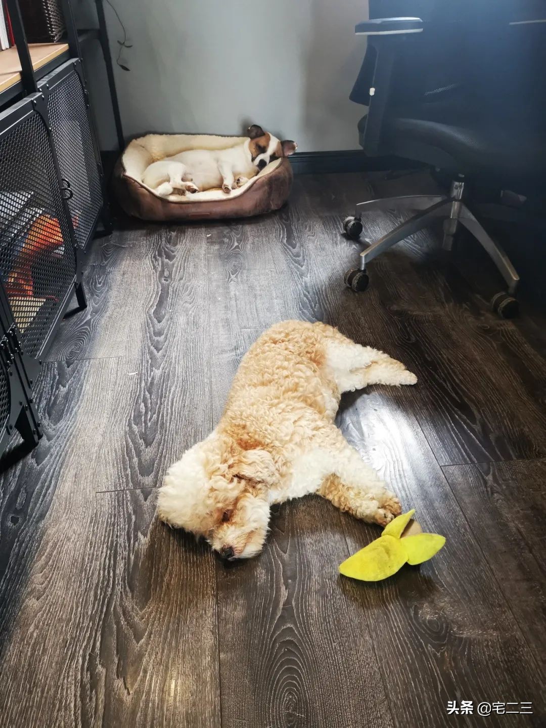 嗜好旧物的90后,用柔软的心构建家中岁月感