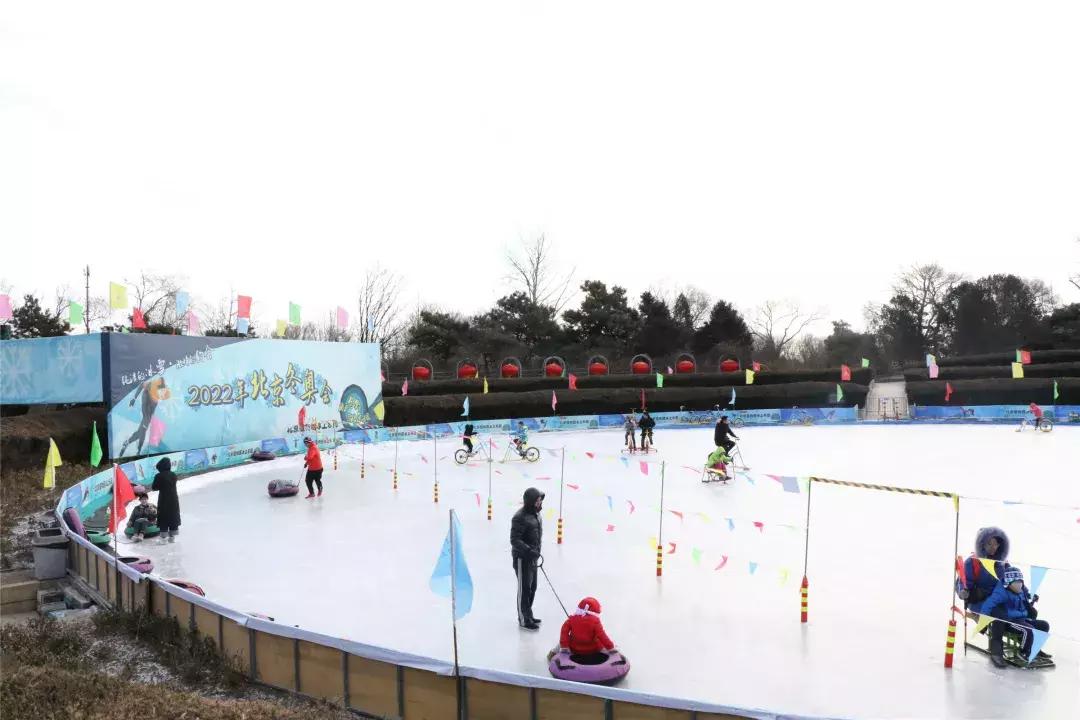 美美美！海淀这个地儿，万株兰花惊艳来袭，你招架的住吗？