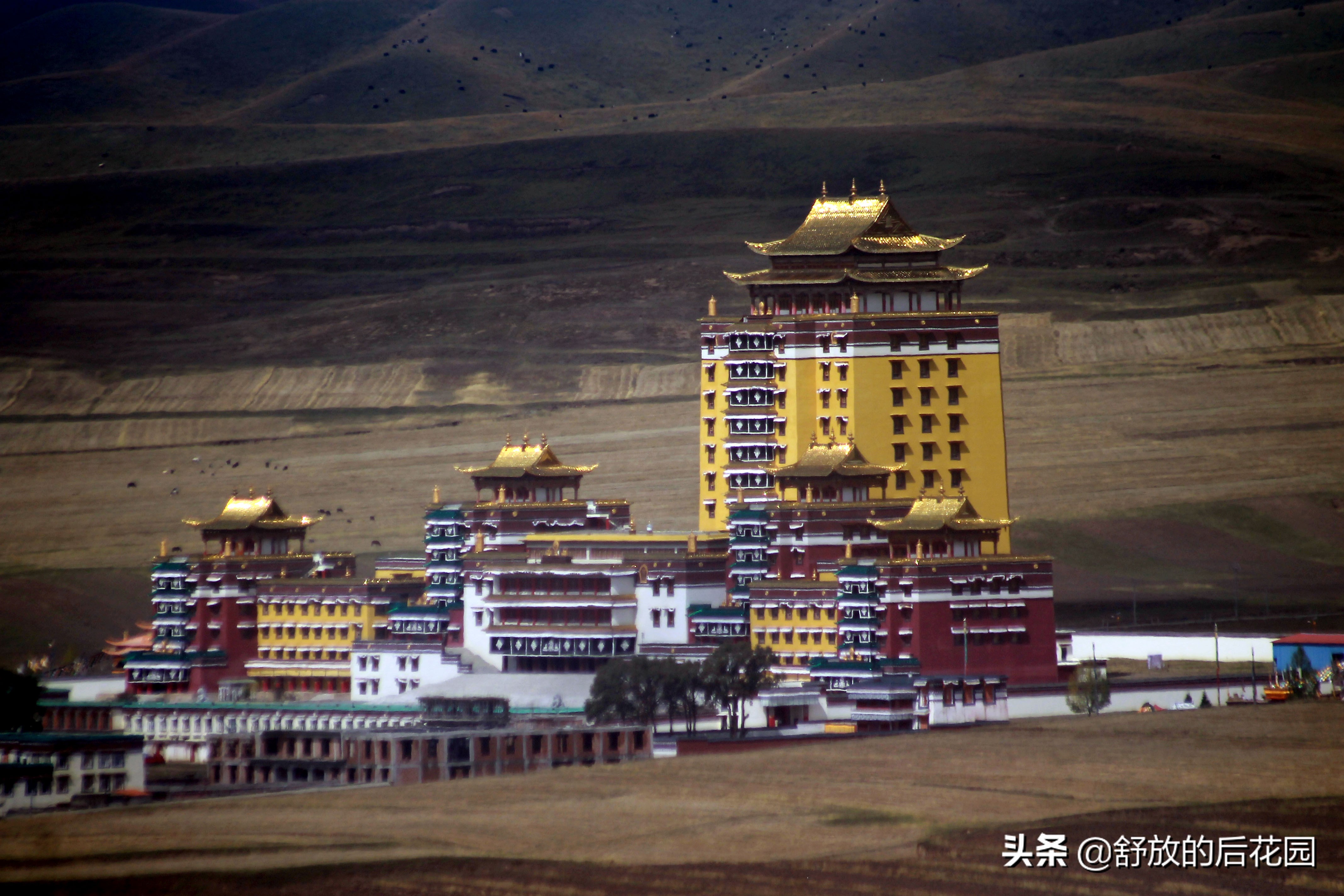 弥勒佛中国有几个,最大弥勒佛像在哪