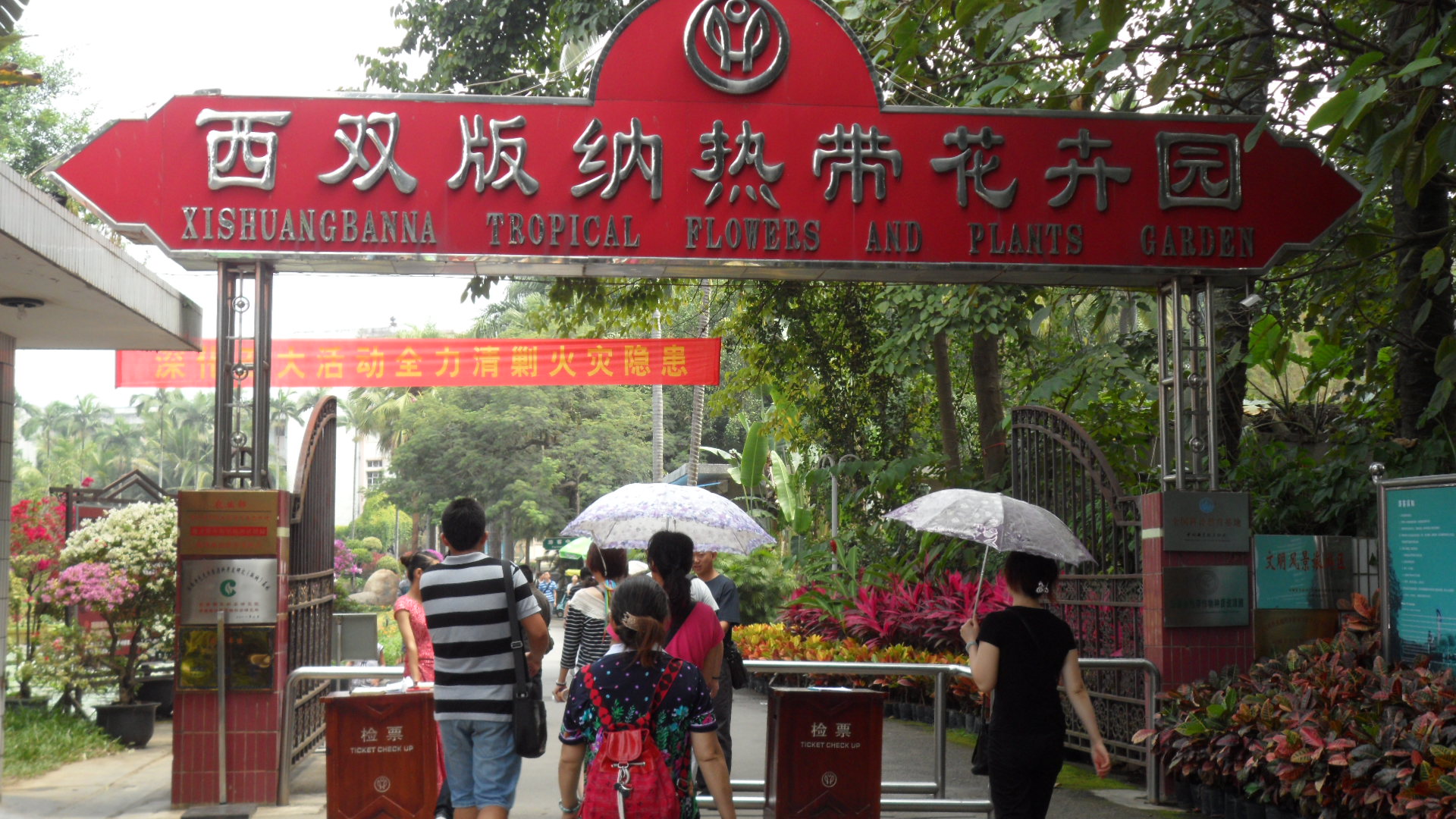 西双版纳热带雨林徒步游记,十年徒步中国在线阅读