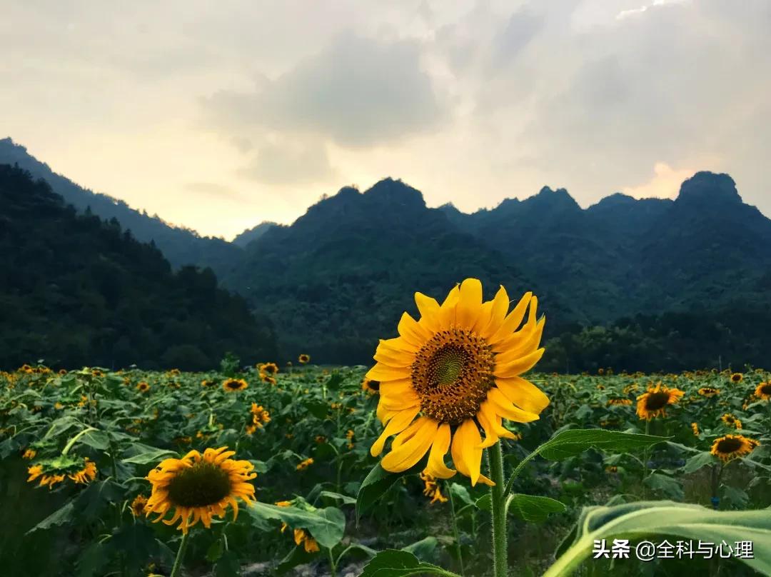 最美旅行地推荐,上半年国内最佳旅行地推荐